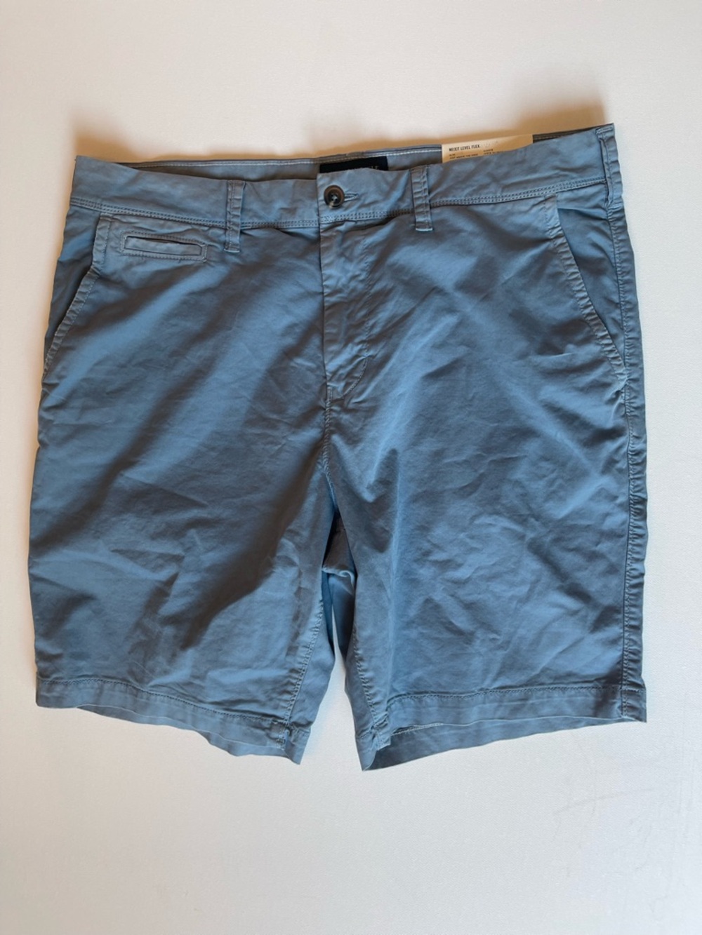 American Eagle Outfitters Slate Blue Flat Front Shorts